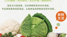 蔬菜配送過程中應該如何確保食材供應的新鮮程度